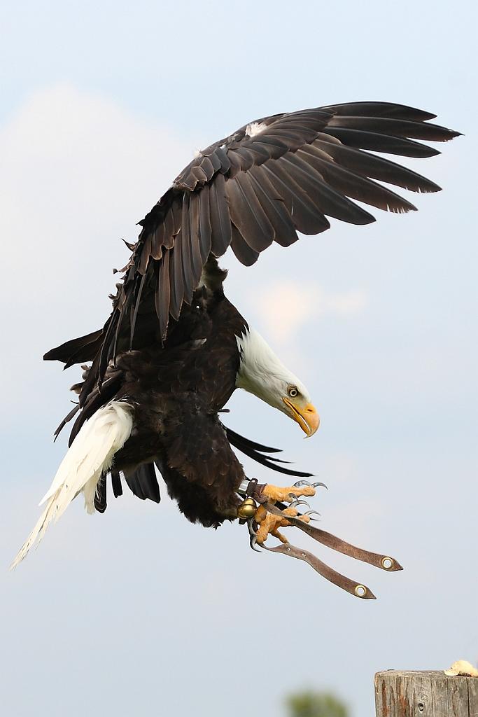 comp_2M2N_1234crop.jpg