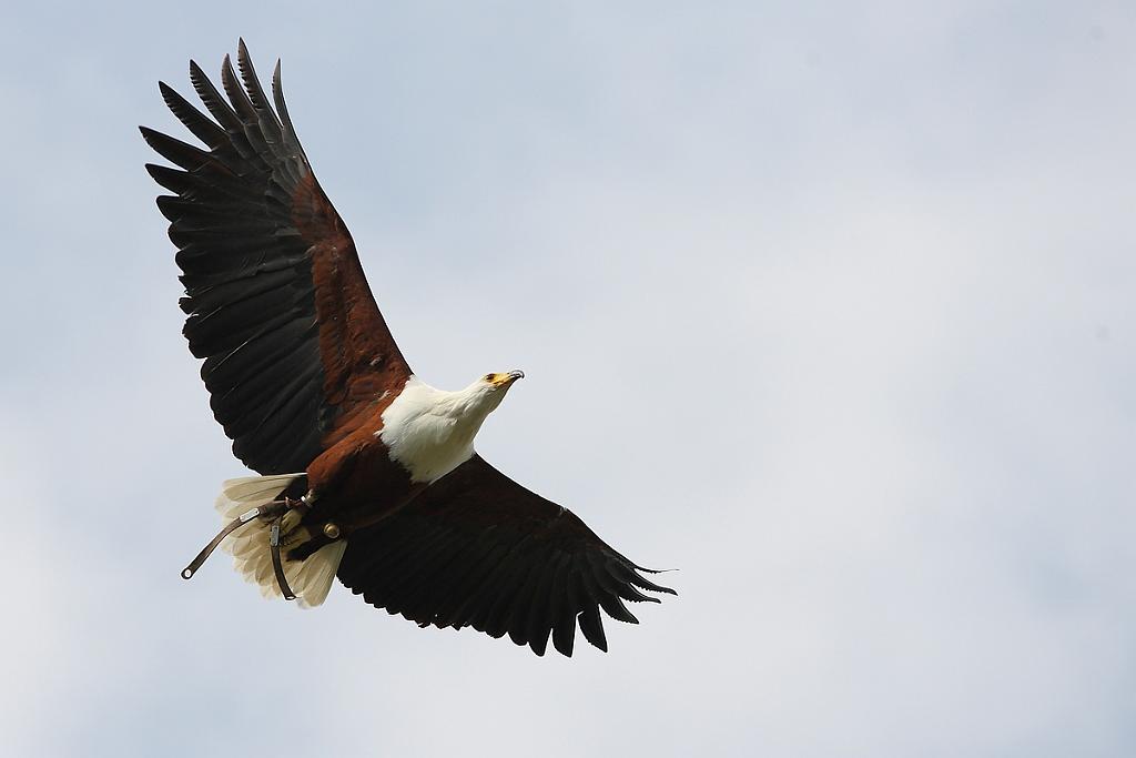 comp_2M2N_1408crop.jpg