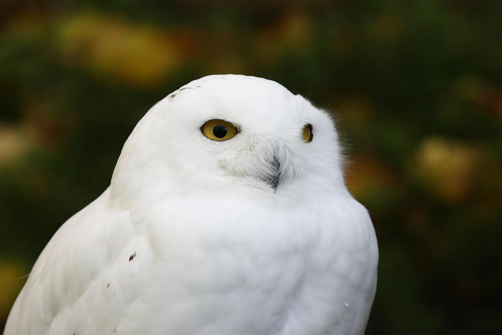 comp_2M2N_5640crop.jpg
